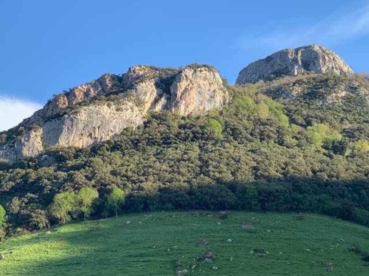 Poo  Cumbres De Los Picos Apartamento Los Abedules מראה חיצוני תמונה